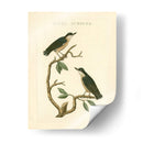 Pájaros Nozeman Vi - Nozeman | Cuadro decorativo de Canvas Lab