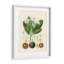 Gloria Botánica Iv - Vision Studio | Cuadro decorativo de Canvas Lab