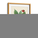 Gloria Botánica Vi - Vision Studio | Cuadro decorativo de Canvas Lab