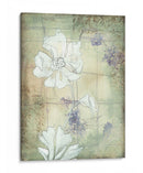 Poppy Whisper Ii - Jennifer Goldberger | Cuadro decorativo de Canvas Lab