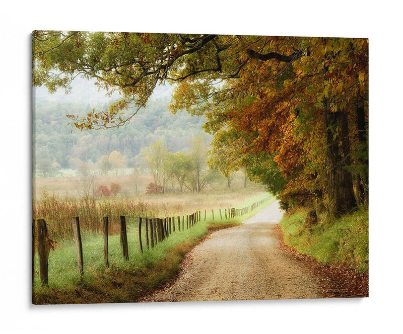 Otoño En Un Camino Rural - Danny Head | Cuadro decorativo de Canvas Lab