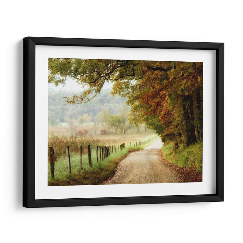 Otoño En Un Camino Rural - Danny Head | Cuadro decorativo de Canvas Lab