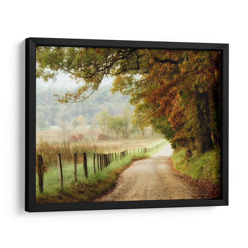 Otoño En Un Camino Rural - Danny Head | Cuadro decorativo de Canvas Lab