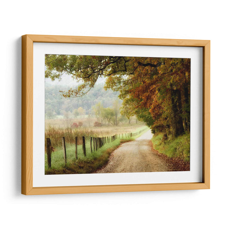 Otoño En Un Camino Rural - Danny Head | Cuadro decorativo de Canvas Lab