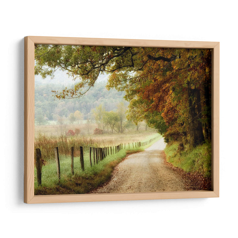 Otoño En Un Camino Rural - Danny Head | Cuadro decorativo de Canvas Lab