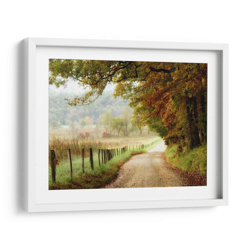 Otoño En Un Camino Rural - Danny Head | Cuadro decorativo de Canvas Lab