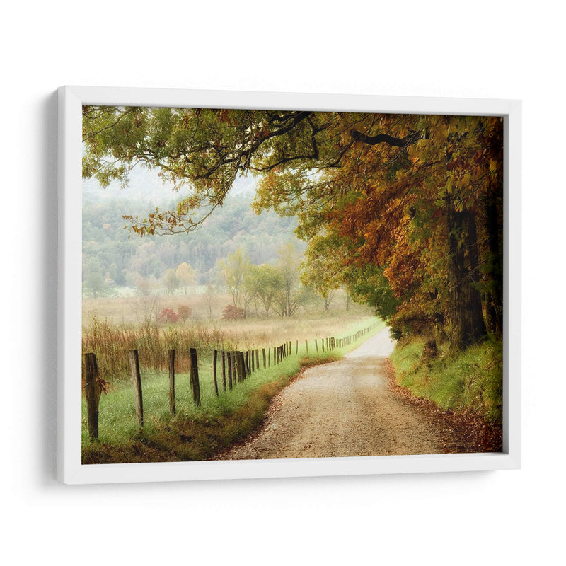 Otoño En Un Camino Rural - Danny Head | Cuadro decorativo de Canvas Lab