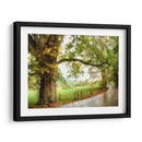 Camino Mojado - Danny Head | Cuadro decorativo de Canvas Lab