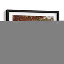 Dos Robles - Danny Head | Cuadro decorativo de Canvas Lab