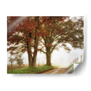 Dos Robles - Danny Head | Cuadro decorativo de Canvas Lab