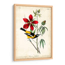 Audubon Bird Y Botanical I - John James Audubon | Cuadro decorativo de Canvas Lab