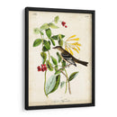 Audubon Bird Y Botanical Ii - John James Audubon | Cuadro decorativo de Canvas Lab