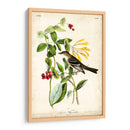 Audubon Bird Y Botanical Ii - John James Audubon | Cuadro decorativo de Canvas Lab