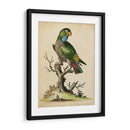 Paradise Lrots I - George Edwards | Cuadro decorativo de Canvas Lab