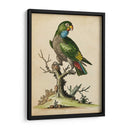 Paradise Lrots I - George Edwards | Cuadro decorativo de Canvas Lab