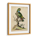 Paradise Lrots I - George Edwards | Cuadro decorativo de Canvas Lab