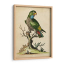 Paradise Lrots I - George Edwards | Cuadro decorativo de Canvas Lab