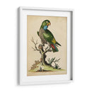 Paradise Lrots I - George Edwards | Cuadro decorativo de Canvas Lab
