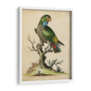 Paradise Lrots I - George Edwards | Cuadro decorativo de Canvas Lab