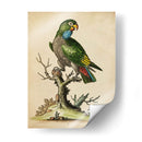 Paradise Lrots I - George Edwards | Cuadro decorativo de Canvas Lab