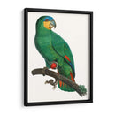 Loro De Los Trópicos I - Barraband | Cuadro decorativo de Canvas Lab