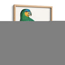 Loro De Los Trópicos I - Barraband | Cuadro decorativo de Canvas Lab