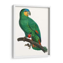 Loro De Los Trópicos I - Barraband | Cuadro decorativo de Canvas Lab