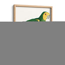 Loro De Los Trópicos Iv - Barraband | Cuadro decorativo de Canvas Lab