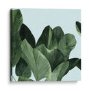 Celadon Palms I - Emma Scarvey | Cuadro decorativo de Canvas Lab