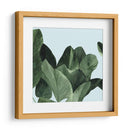 Celadon Palms I - Emma Scarvey | Cuadro decorativo de Canvas Lab