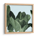 Celadon Palms I - Emma Scarvey | Cuadro decorativo de Canvas Lab