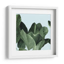 Celadon Palms I - Emma Scarvey | Cuadro decorativo de Canvas Lab