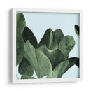 Celadon Palms I - Emma Scarvey | Cuadro decorativo de Canvas Lab