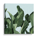 Celadon Palms Ii - Emma Scarvey | Cuadro decorativo de Canvas Lab