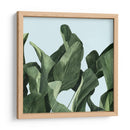 Celadon Palms Ii - Emma Scarvey | Cuadro decorativo de Canvas Lab