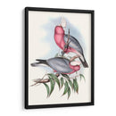 Parrots Pastel Iii - John Gould | Cuadro decorativo de Canvas Lab