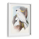 Loros Pastel V - John Gould | Cuadro decorativo de Canvas Lab