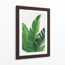 Pura Vida Ii - Grace Popp | Cuadro decorativo de Canvas Lab