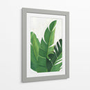 Pura Vida Ii - Grace Popp | Cuadro decorativo de Canvas Lab