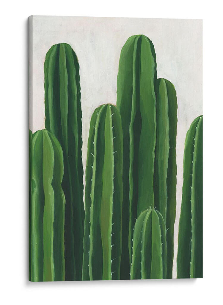 Pura Vida Iii - Grace Popp | Cuadro decorativo de Canvas Lab