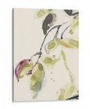 Tríptico Rama De Hoja I - Jennifer Goldberger | Cuadro decorativo de Canvas Lab