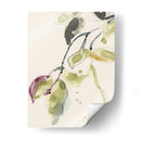 Tríptico Rama De Hoja I - Jennifer Goldberger | Cuadro decorativo de Canvas Lab