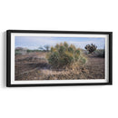 Cactus - Rev | Cuadro decorativo de Canvas Lab