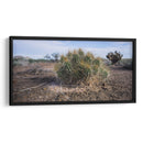 Cactus - Rev | Cuadro decorativo de Canvas Lab