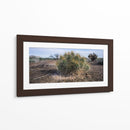 Cactus - Rev | Cuadro decorativo de Canvas Lab