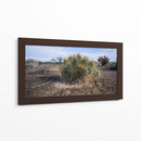 Cactus - Rev | Cuadro decorativo de Canvas Lab