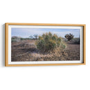 Cactus - Rev | Cuadro decorativo de Canvas Lab