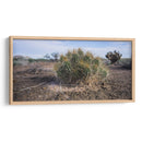 Cactus - Rev | Cuadro decorativo de Canvas Lab