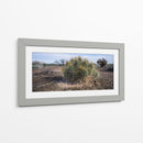 Cactus - Rev | Cuadro decorativo de Canvas Lab