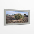 Cactus - Rev | Cuadro decorativo de Canvas Lab